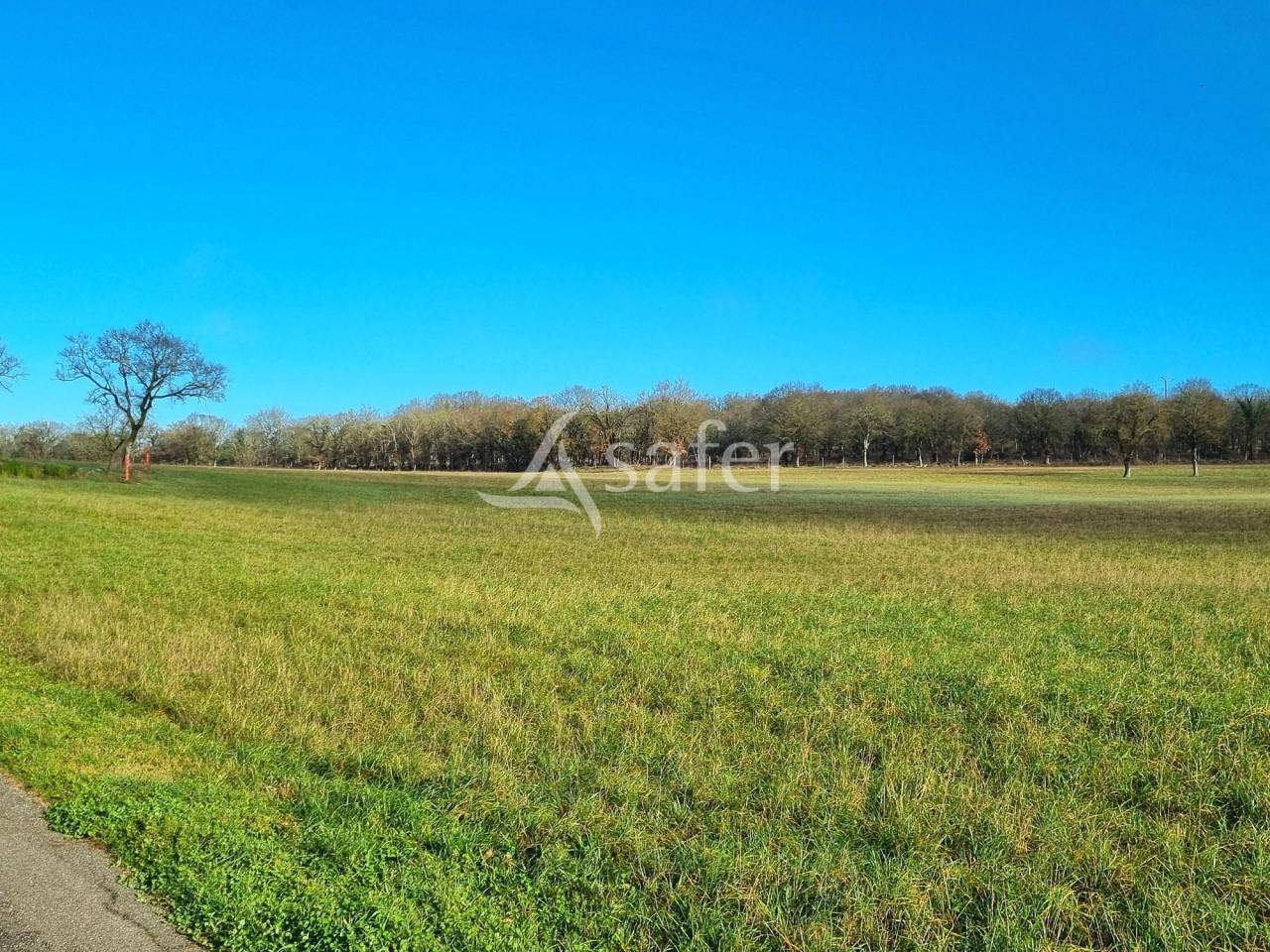 Explotación ovina En venta Tarn y Garona