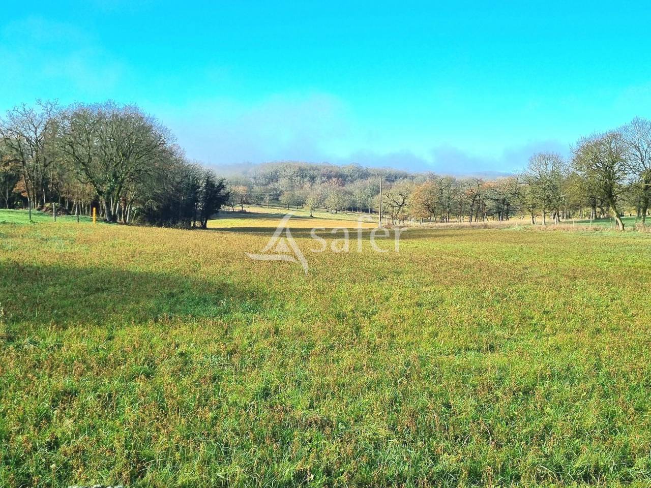 Explotación ovina En venta Tarn y Garona