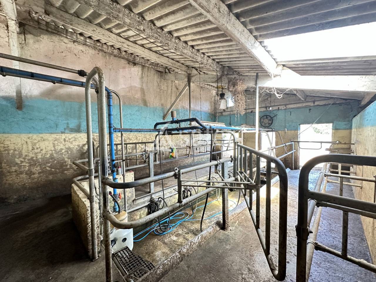 Explotación lechera En venta Charente