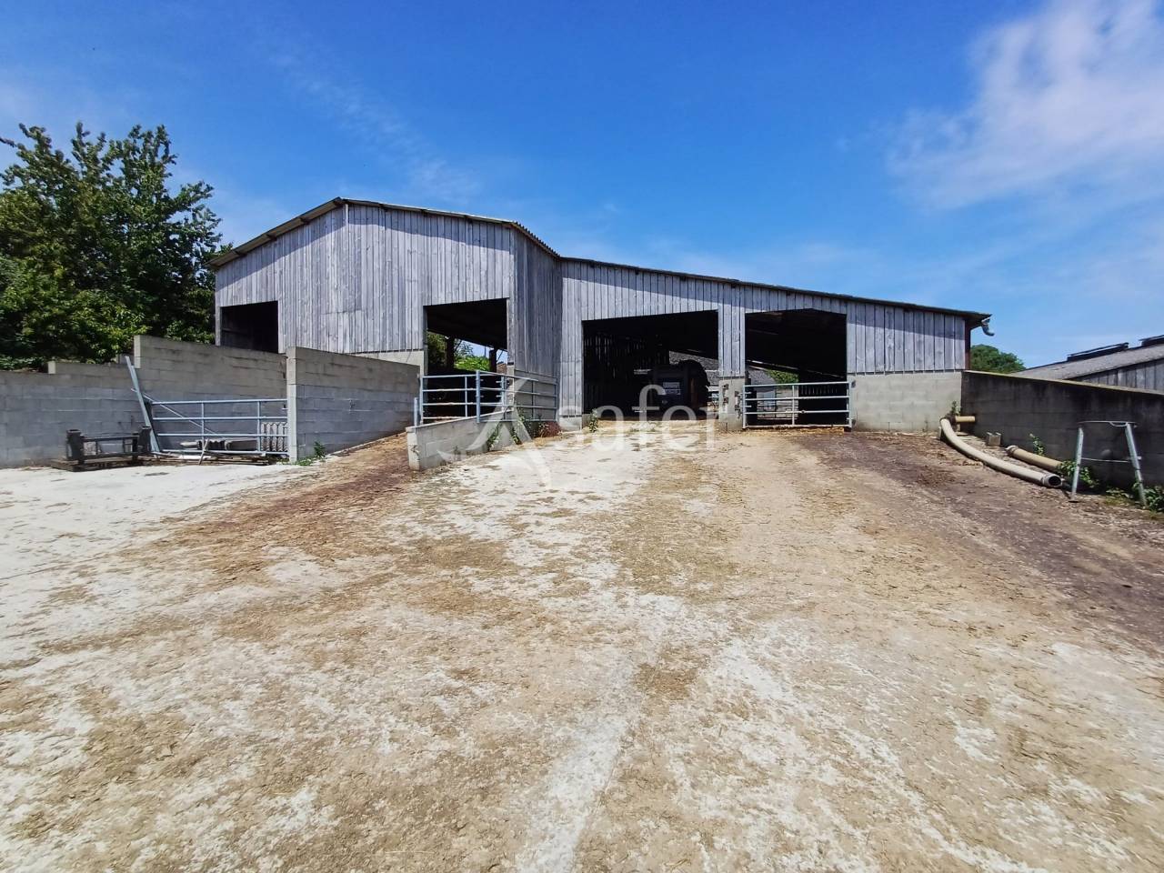 Explotación lechera En venta Charente