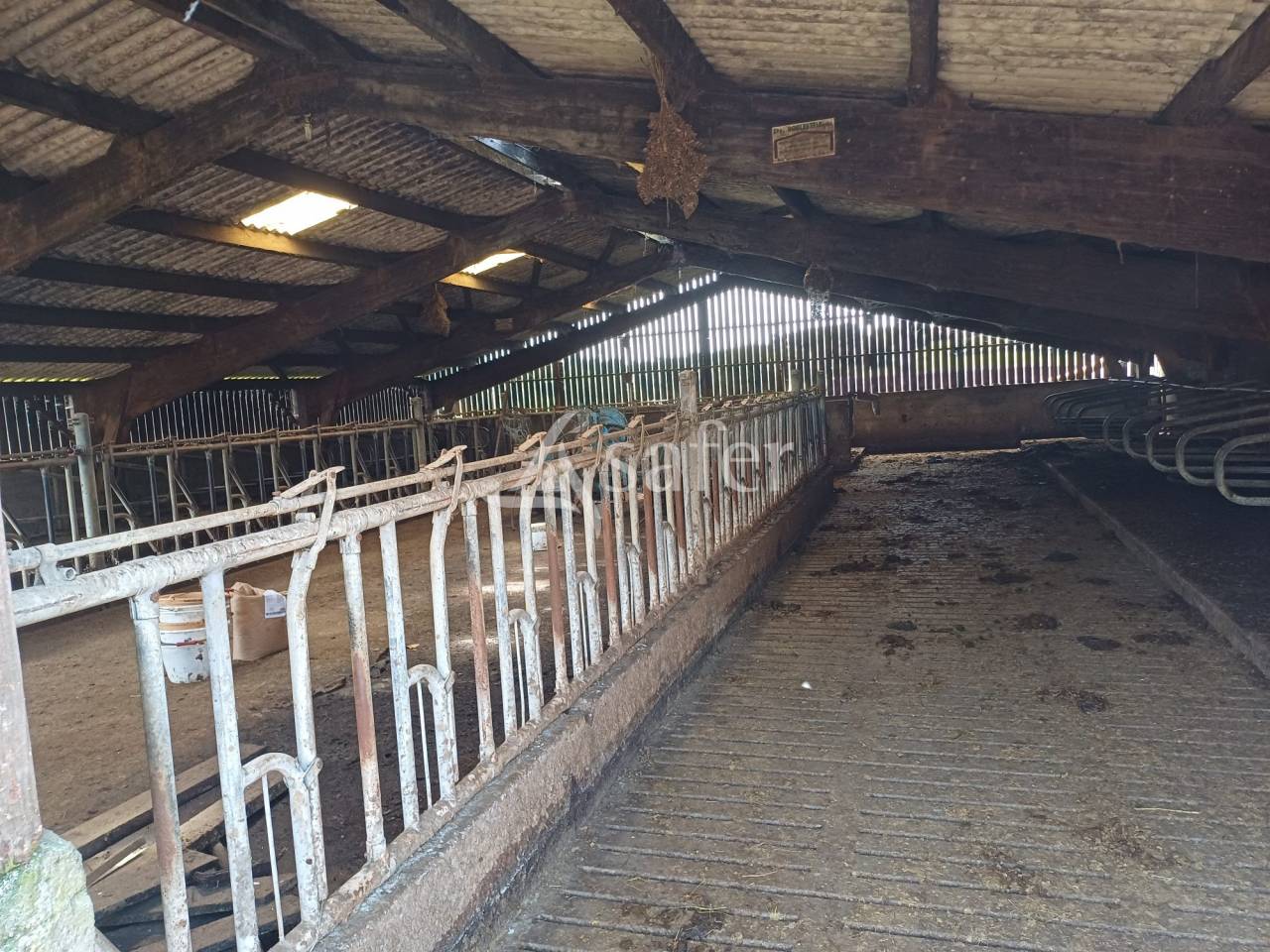 Explotación lechera En venta Charente