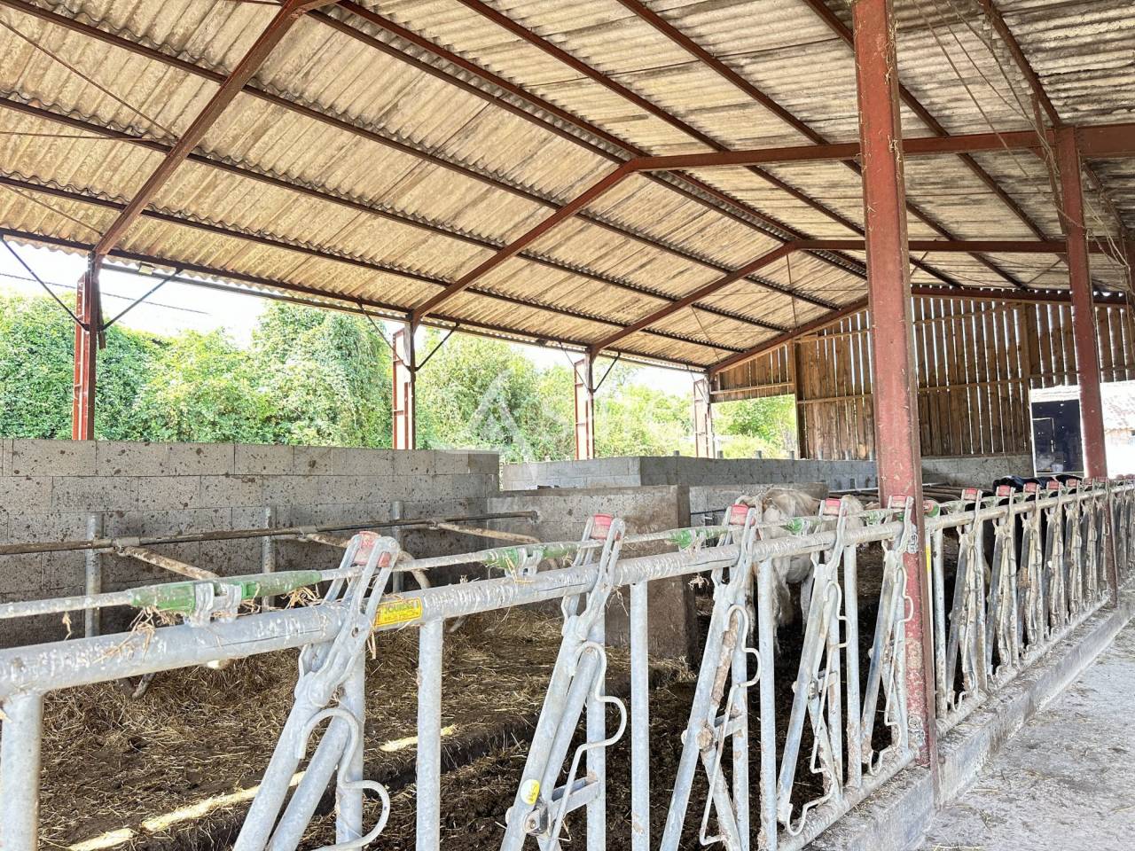 Explotación lechera En venta Charente