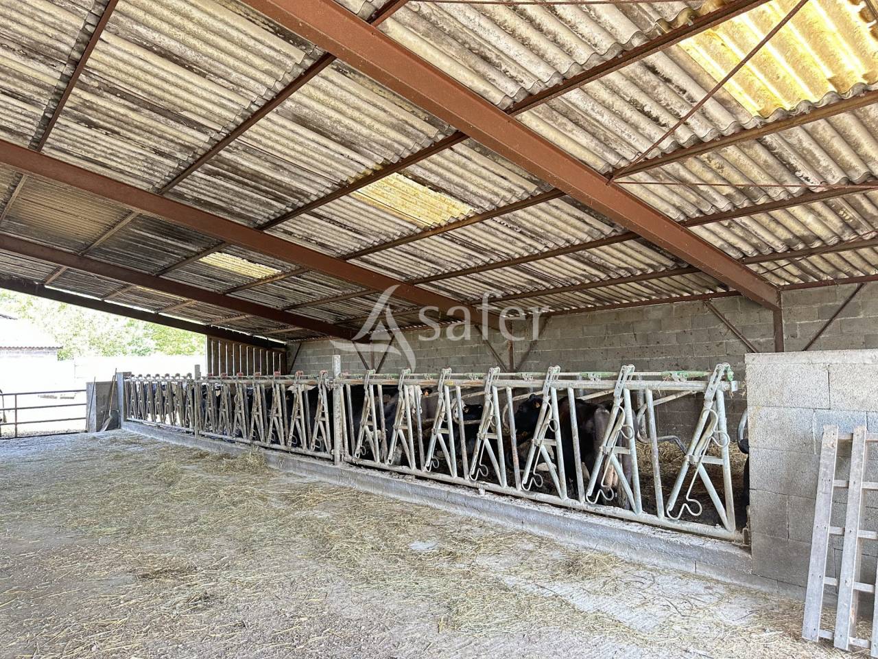 Explotación lechera En venta Charente