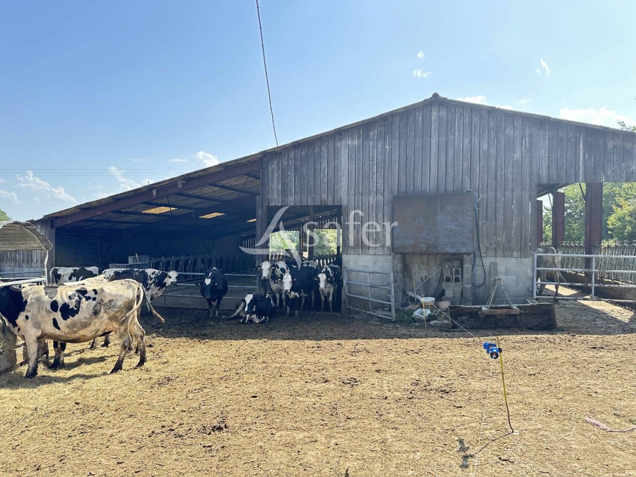 Explotación lechera En venta Charente