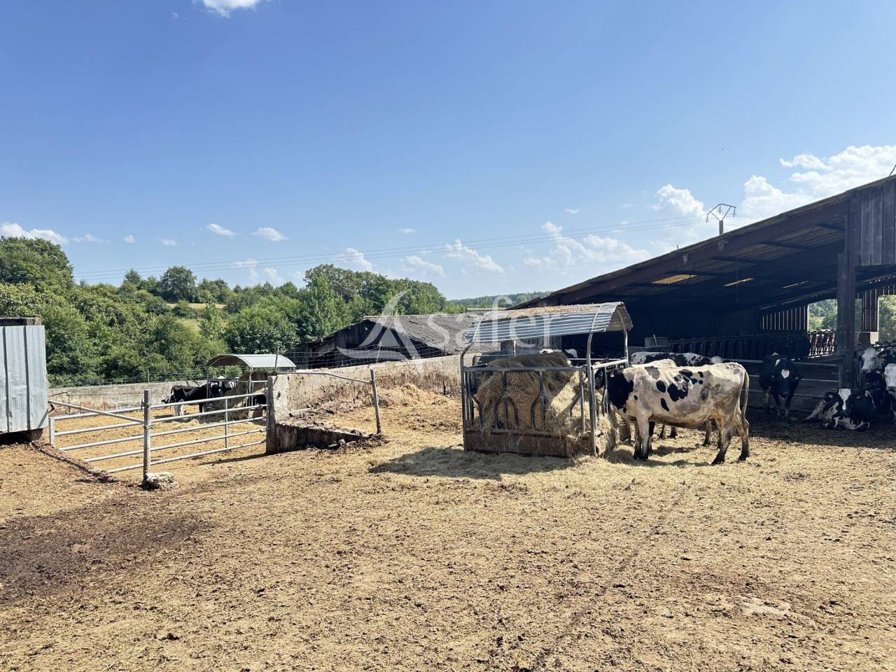 Explotación lechera En venta Charente