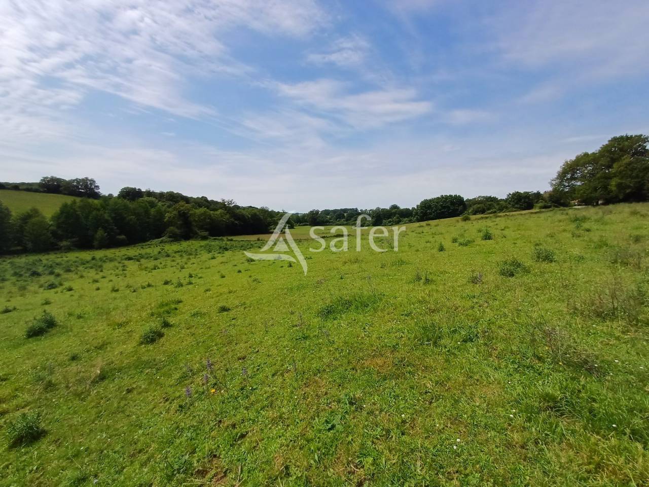 Explotación lechera En venta Charente