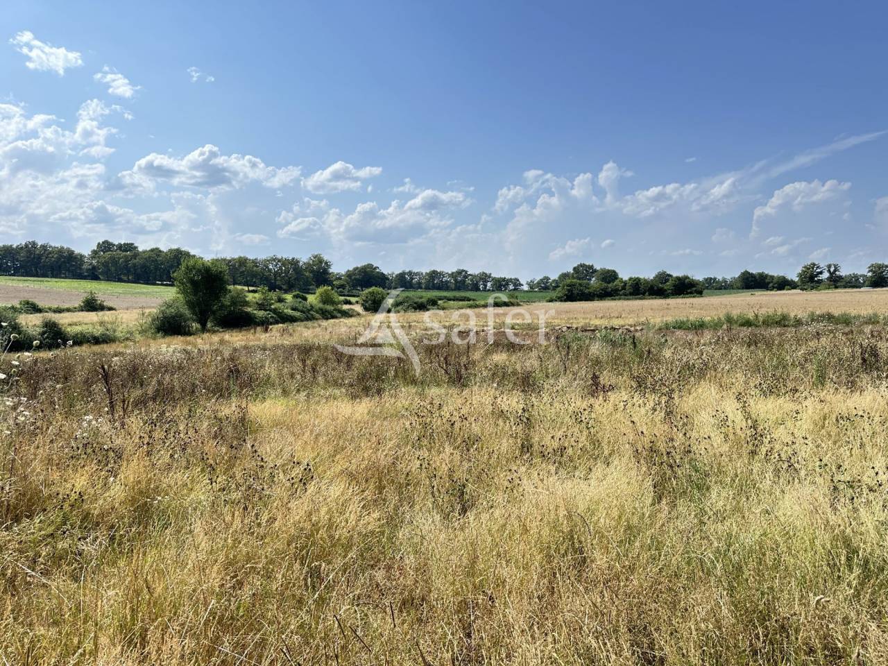 Explotación lechera En venta Charente