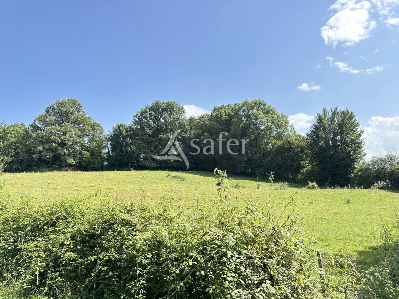 Explotación lechera En venta Charente