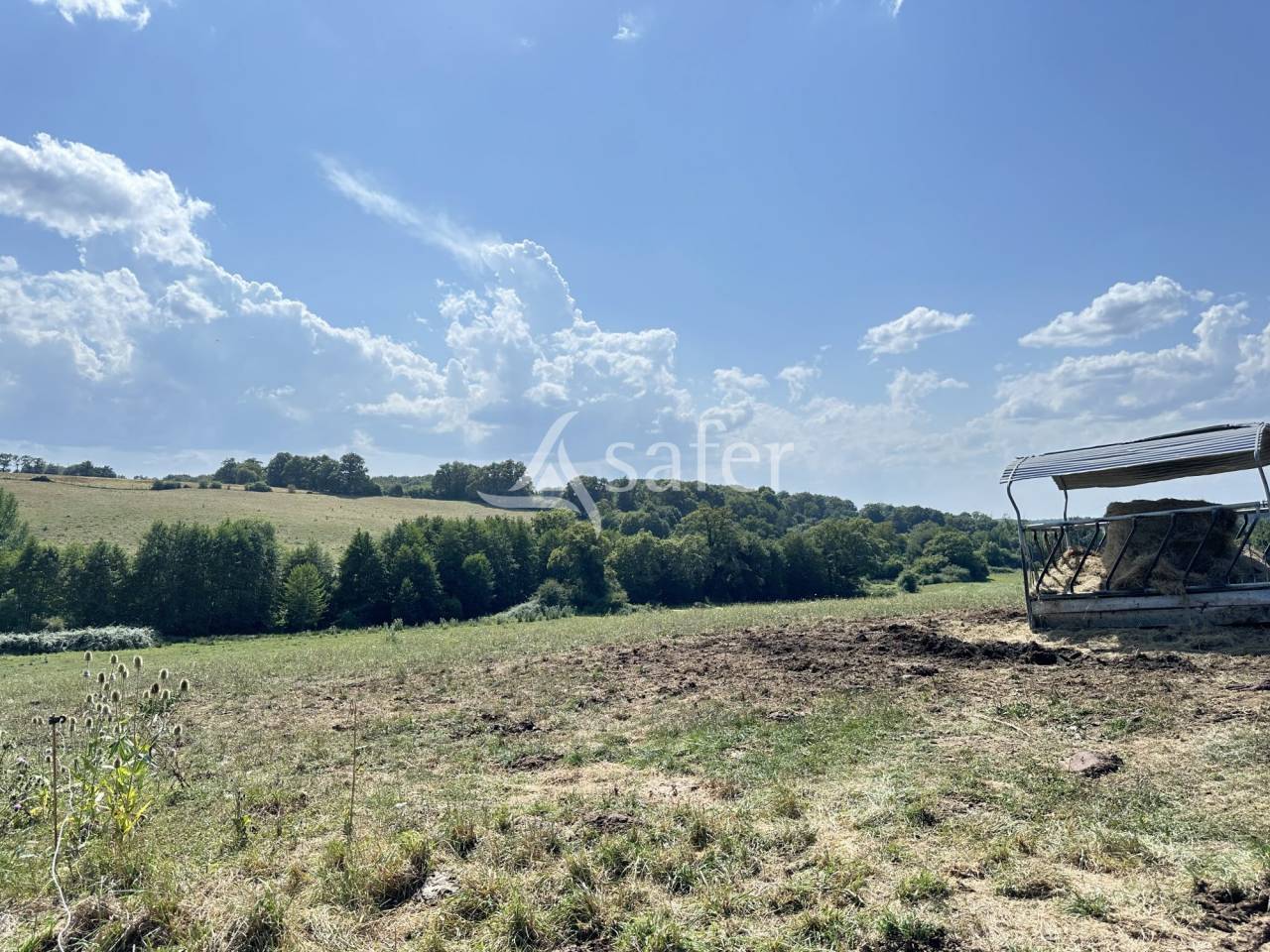 Explotación lechera En venta Charente