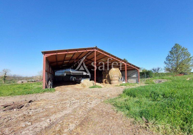 Explotación ovina En venta Gironda