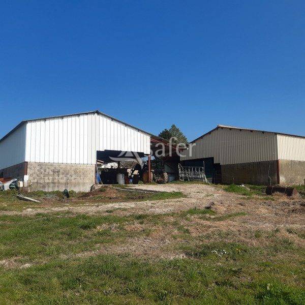 Explotación ovina En venta Gironda