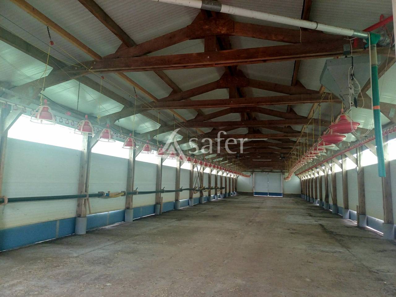 Explotación agrícola En venta Landas