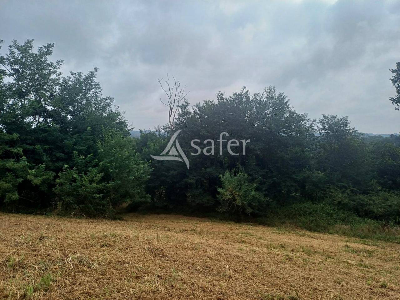 Explotación agrícola En venta Landas