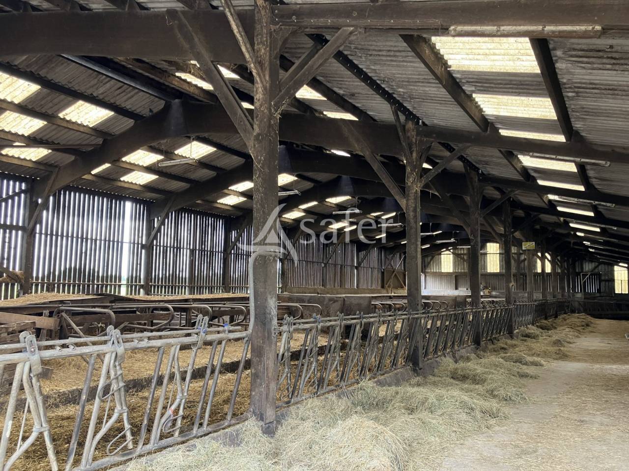Explotación lechera En venta Mayenne