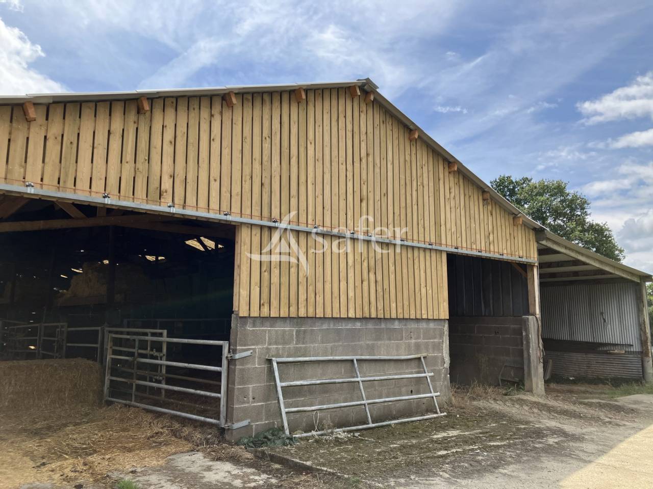 Explotación lechera En venta Mayenne