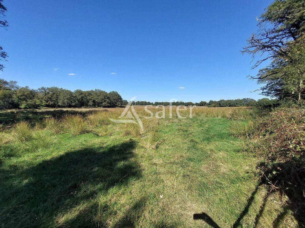 Propiedad rural En venta Alto Vienne