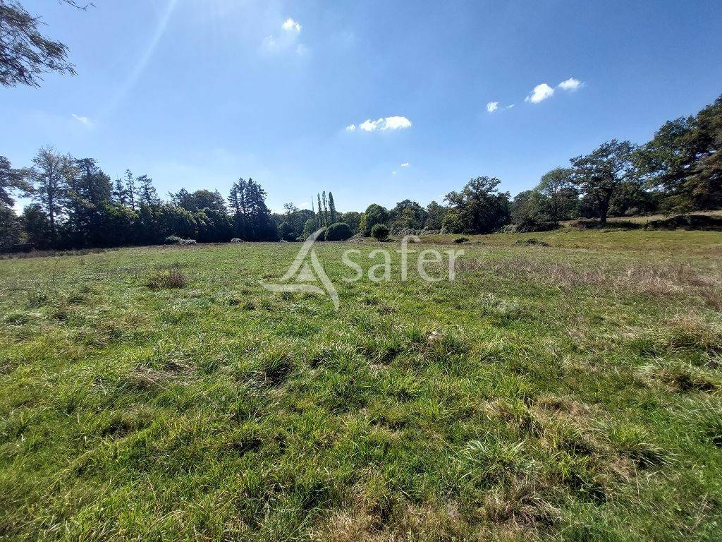 Propiedad rural En venta Alto Vienne