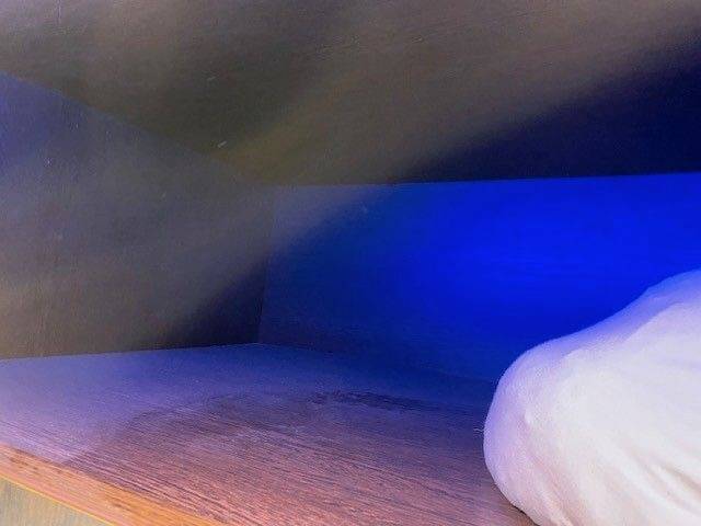 Camión para caballos Man MAN 0 De segunda mano