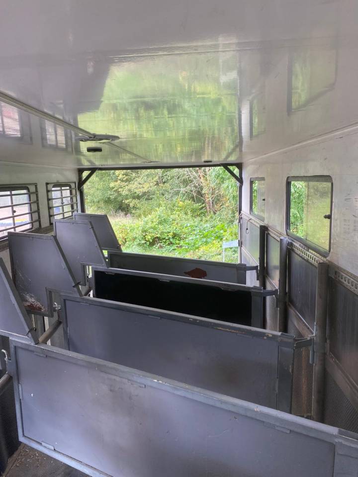 Camión para caballos Scania SCANIA 0 De segunda mano