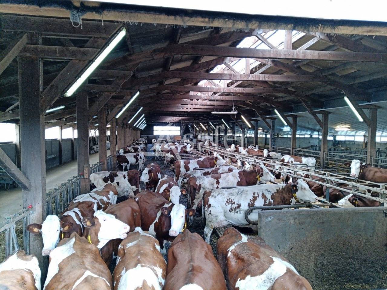 Explotación agrícola En venta Cantal