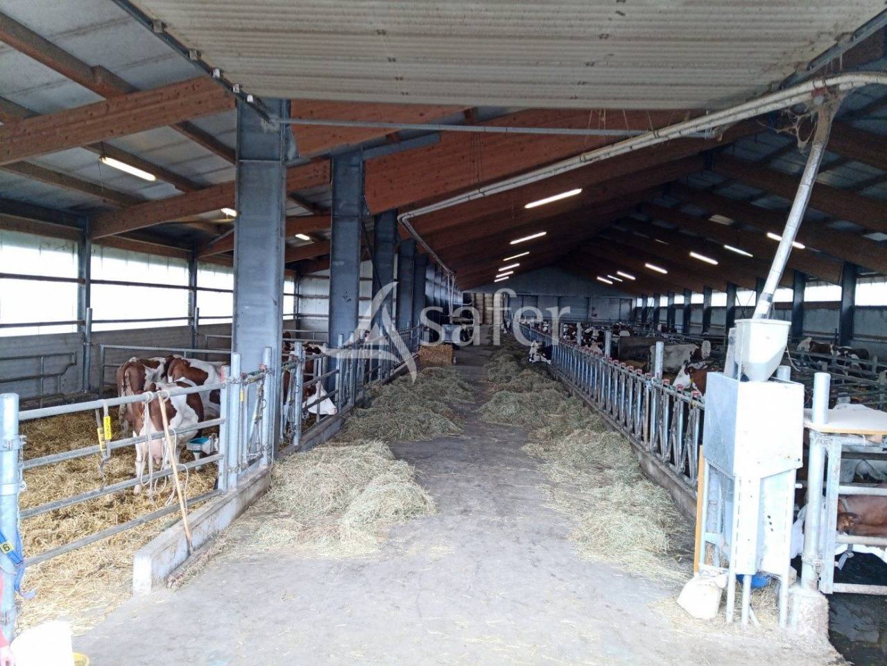 Explotación agrícola En venta Cantal