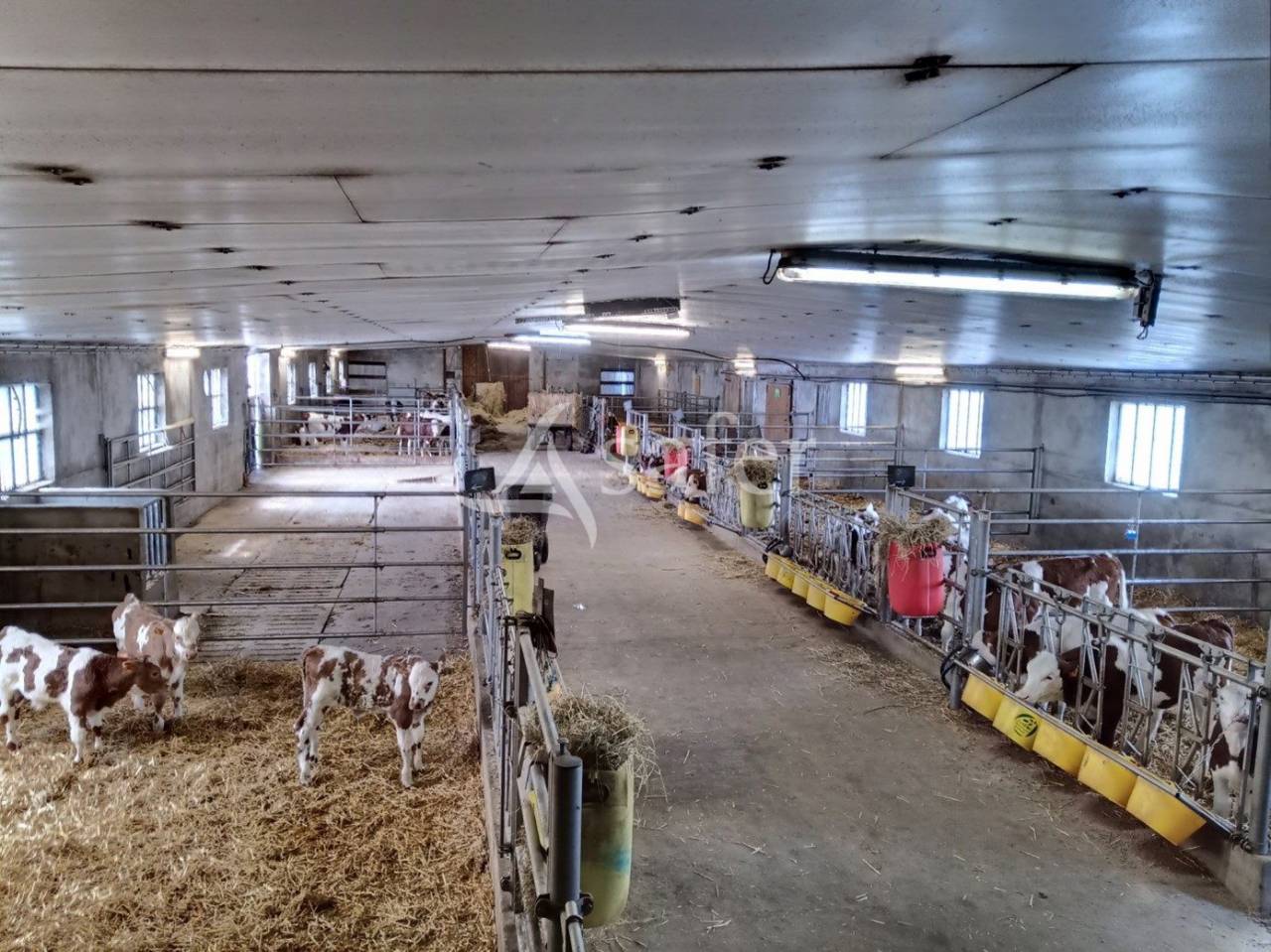 Explotación agrícola En venta Cantal