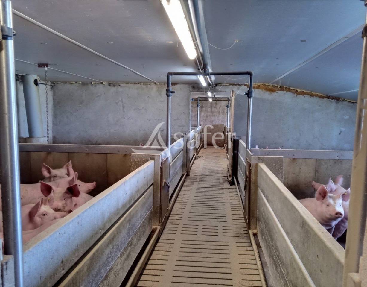 Explotación agrícola En venta Cantal