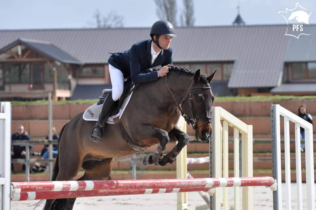 Vlashorst Arbalou - New Forest 2009 por Niloway Arbalou