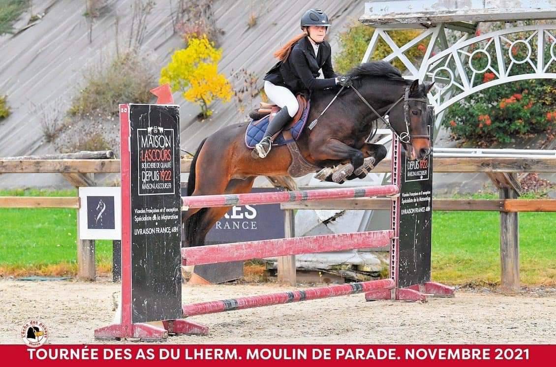 Vlashorst Arbalou - New Forest 2009 por Niloway Arbalou