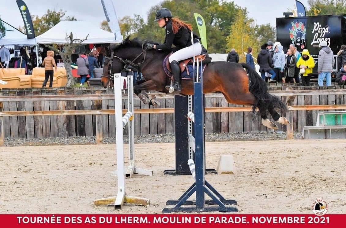 Vlashorst Arbalou - New Forest 2009 por Niloway Arbalou