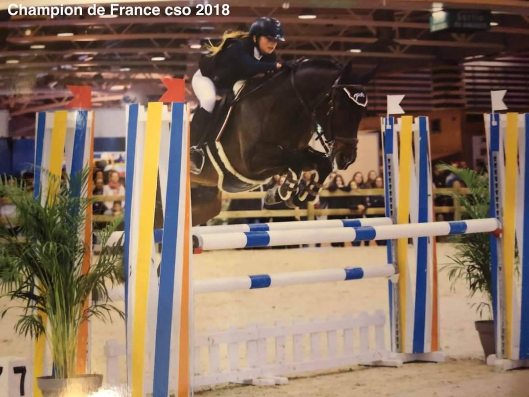 Vlashorst Arbalou - New Forest 2009 por Niloway Arbalou