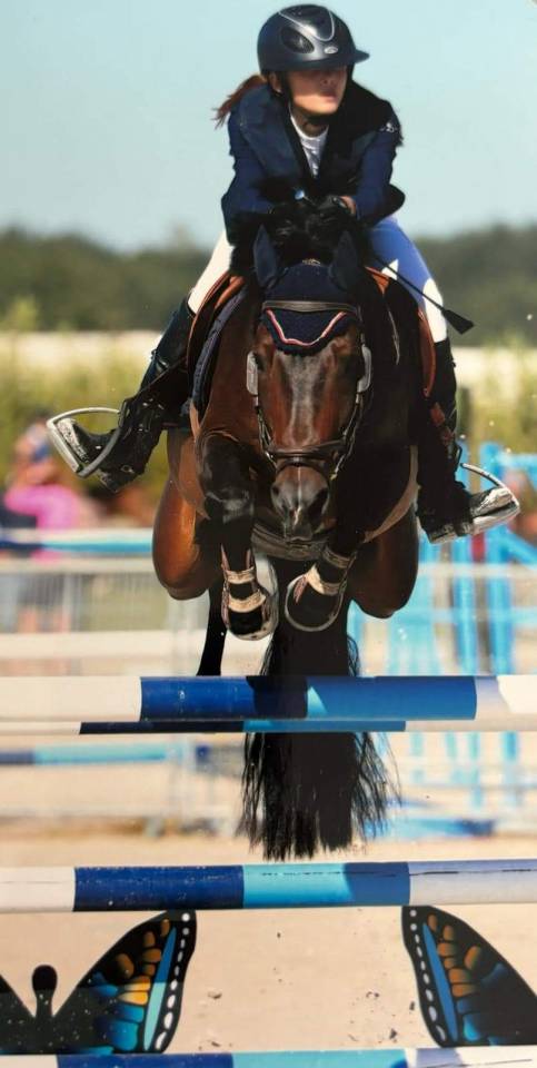 Vlashorst Arbalou - New Forest 2009 por Niloway Arbalou