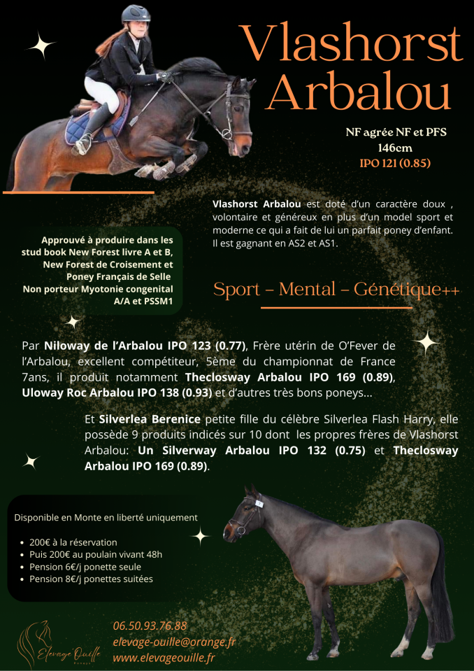 Vlashorst Arbalou - New Forest 2009 por Niloway Arbalou