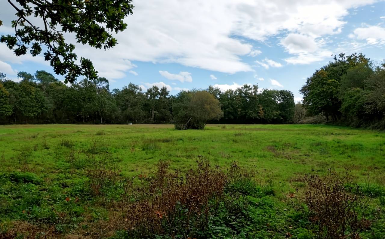 Bonita residencia ecuestre En venta Mancha