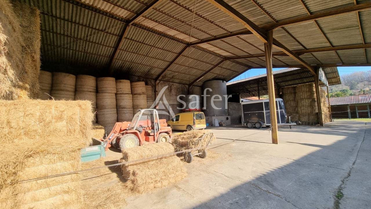 Propiedad ecuestre En venta Altos Pirineos