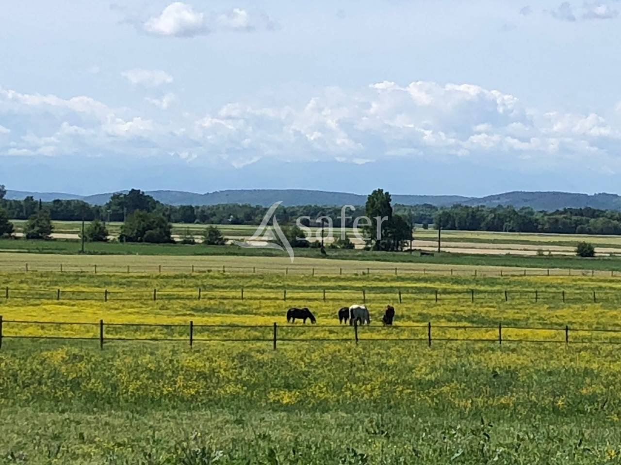 Propiedad ecuestre En venta Altos Pirineos