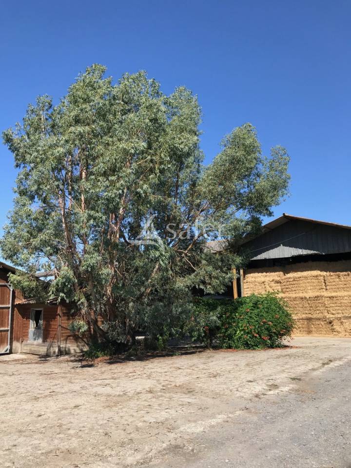 Propiedad ecuestre En venta Altos Pirineos