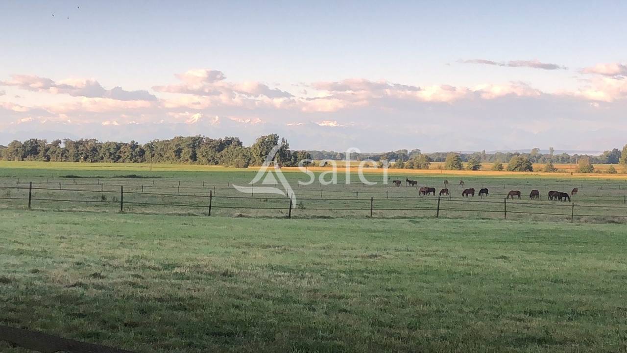 Propiedad ecuestre En venta Altos Pirineos