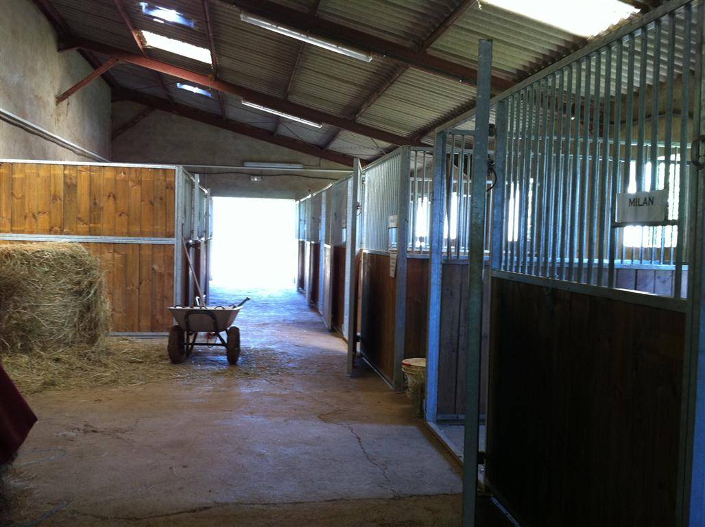 Propiedad ecuestre En venta Tarn y Garona