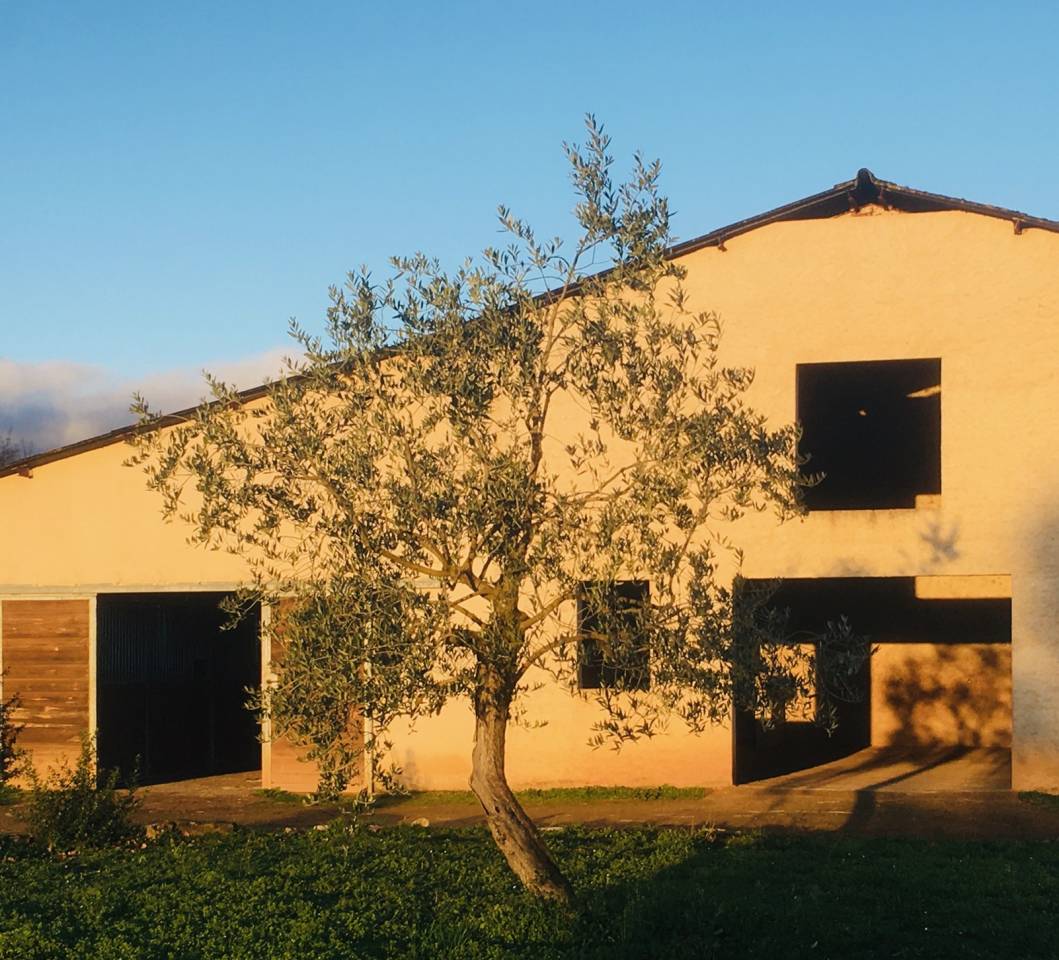 Propiedad ecuestre En venta Tarn y Garona