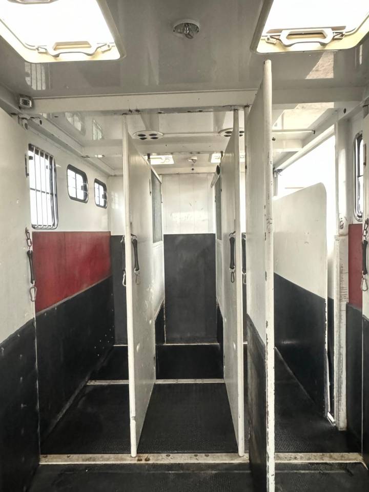 Camión para caballos MTM VOLVO 2006 De segunda mano