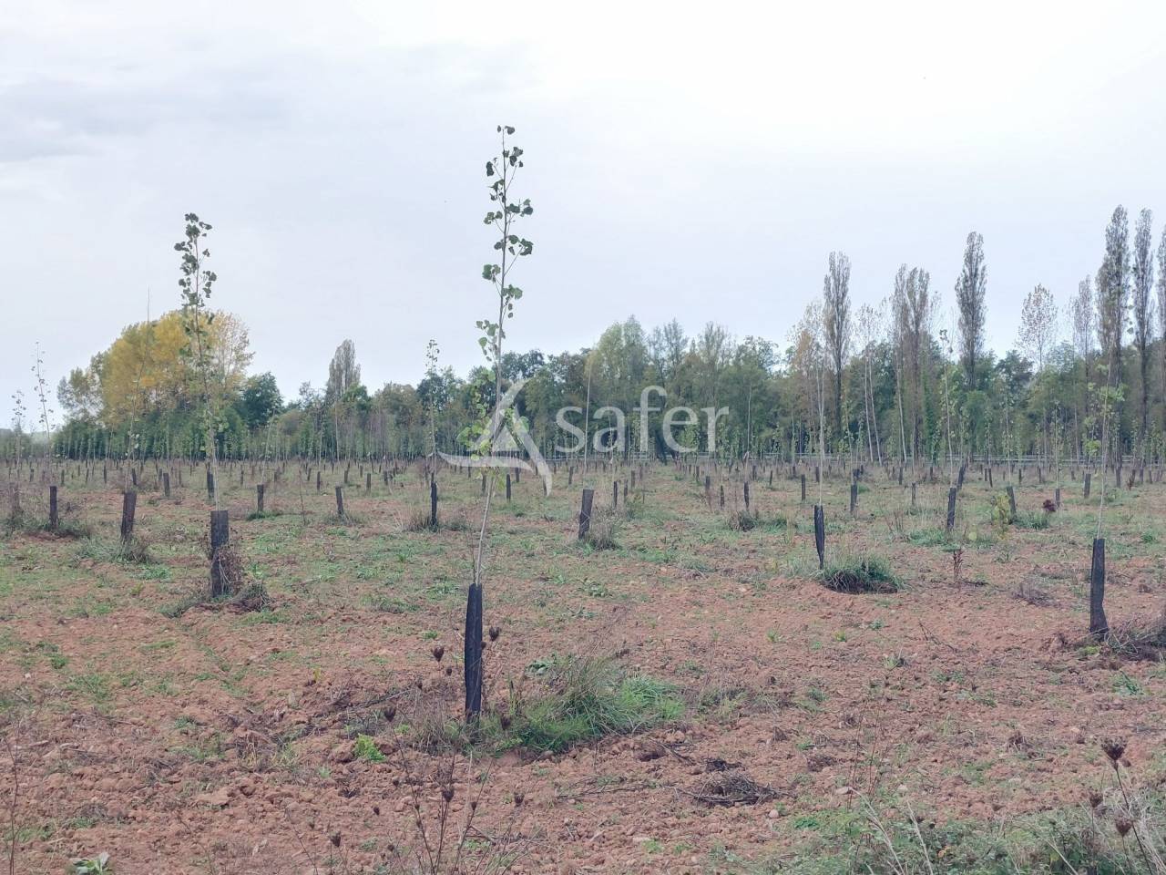Propiedad rural En venta Dordoña