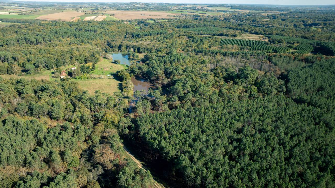 Propiedad ecuestre En venta Charente