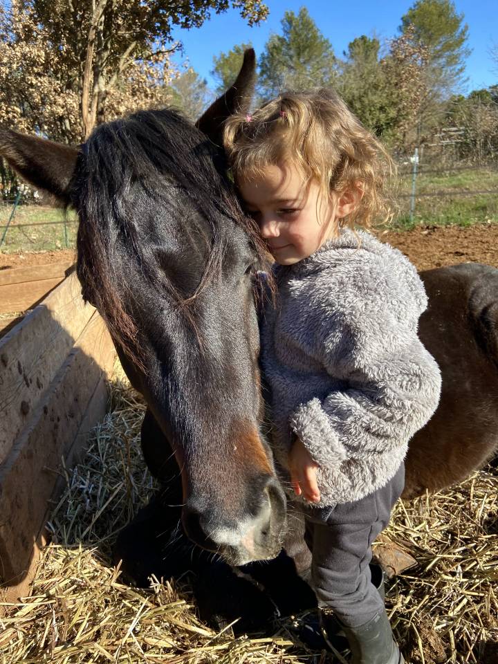 VOGNMANDGARDENS REMBRANDT - New Forest 2020 por OPBROEKS WICKLOW