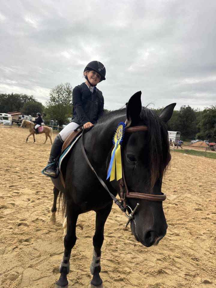 VOGNMANDGARDENS REMBRANDT - New Forest 2020 por OPBROEKS WICKLOW