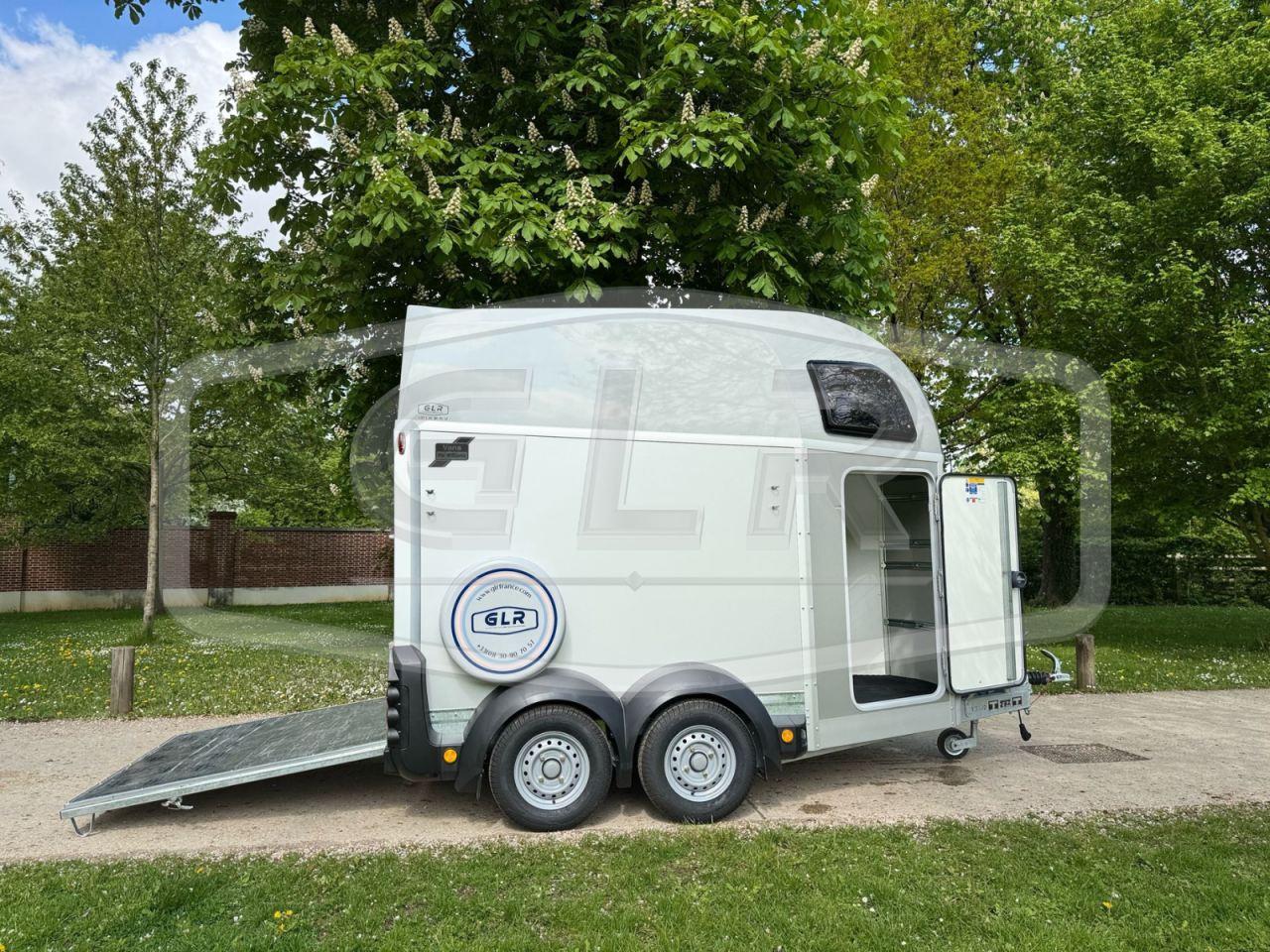 Van caballos Ifor Williams HBEECO 2 Caballos 2025 Nuevo