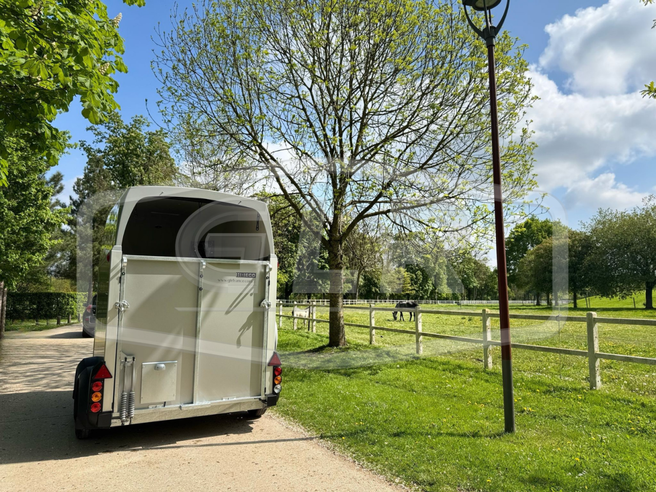 Van caballos Ifor Williams HBEECO 2 Caballos 2025 Nuevo