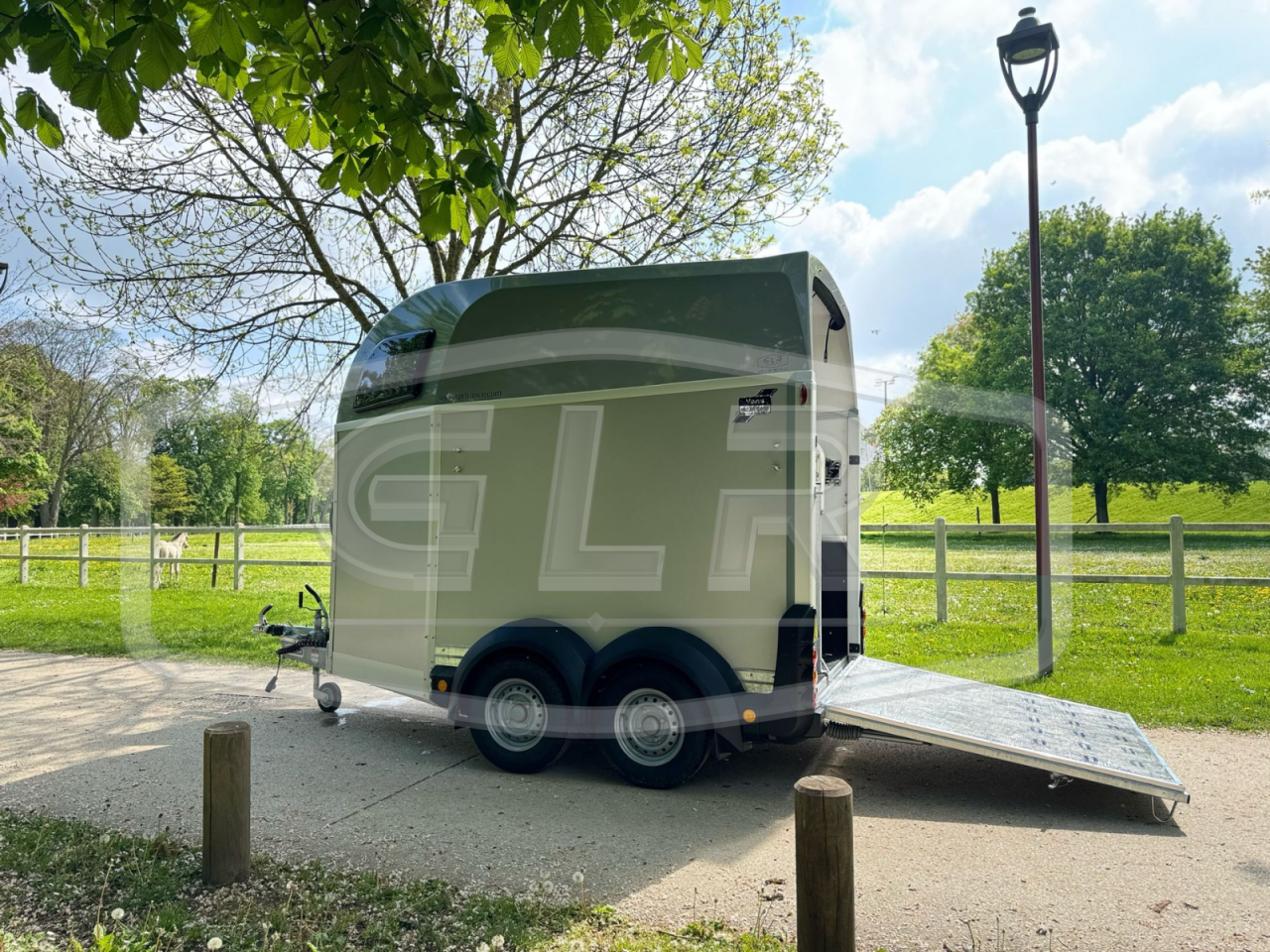 Van caballos Ifor Williams HBEECO 2 Caballos 2025 Nuevo