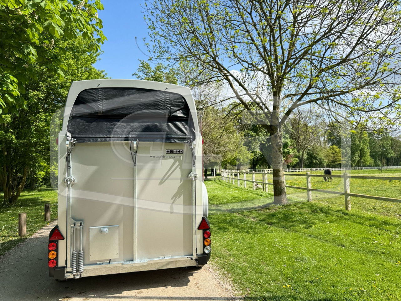 Van caballos Ifor Williams HBEECO 2 Caballos 2025 Nuevo