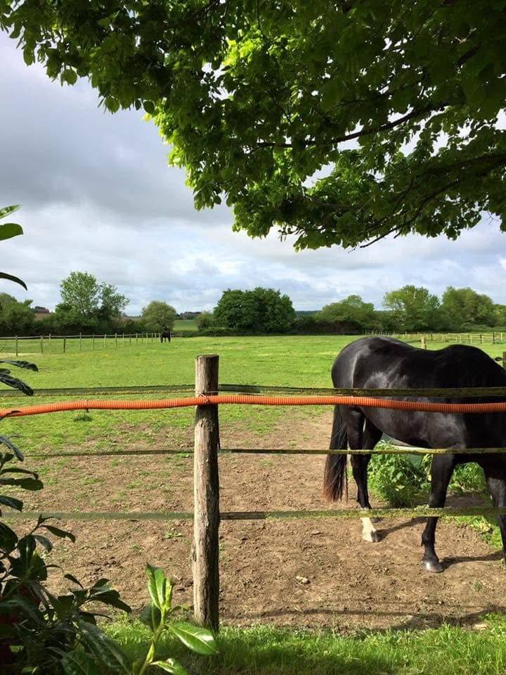 Propiedad ecuestre En venta Calvados